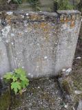 image of grave number 270021